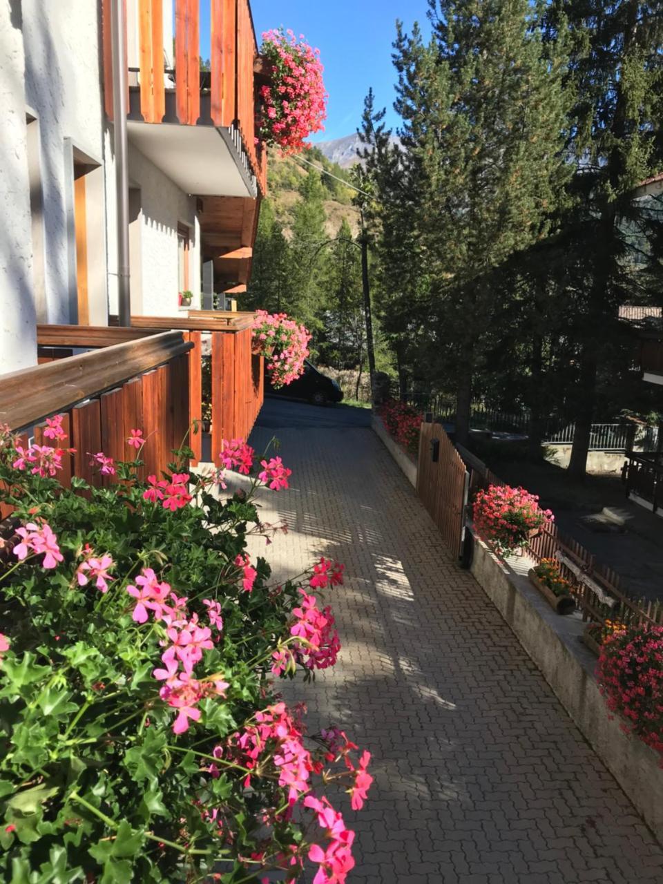 Hotel La Nigritella Bardonecchia Exterior photo